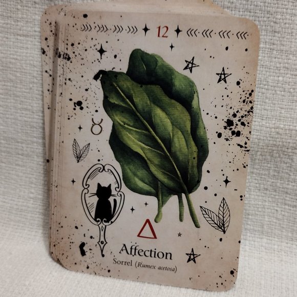 Green Witch Oracle Cards - Picture 6 of 11